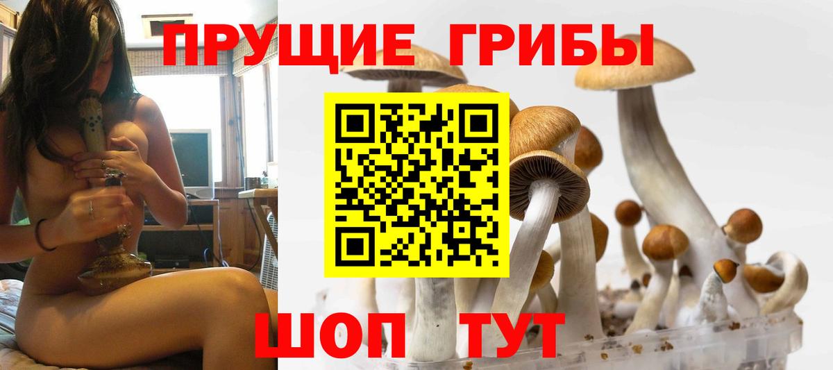 Псилоцибиновые грибы мухоморы Шатура